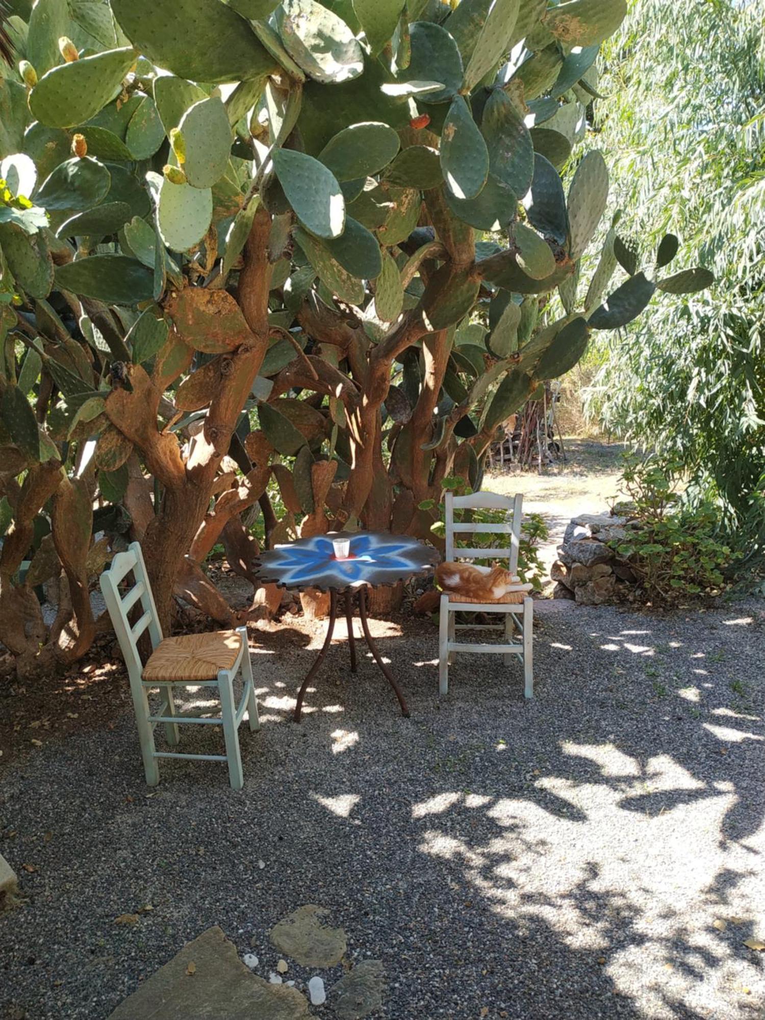 Wellanidia Cottage Skoutari Gythio Esterno foto